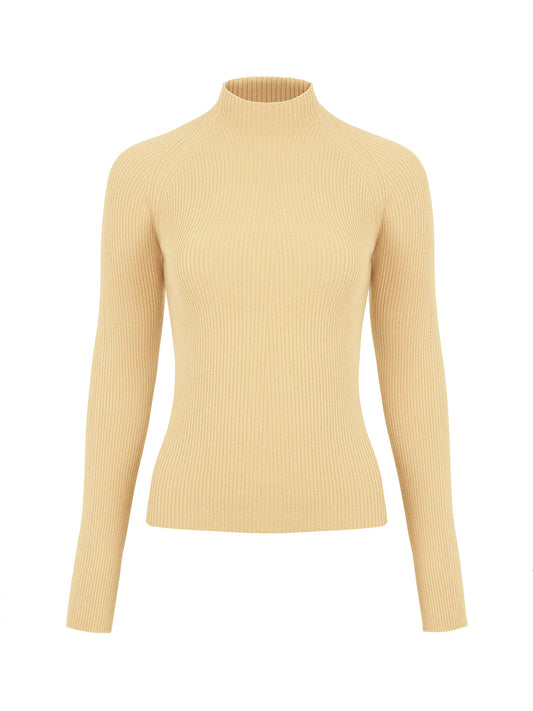 Turtleneck Knit Sweater